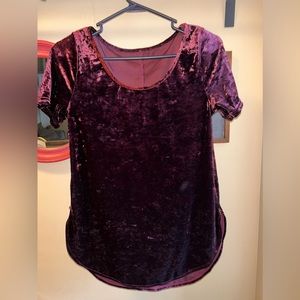 Maroon Velvet Short Sleeve Top